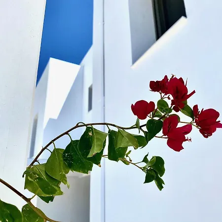 Harmony - 200 M From The Sea Ferienhaus Gennadi