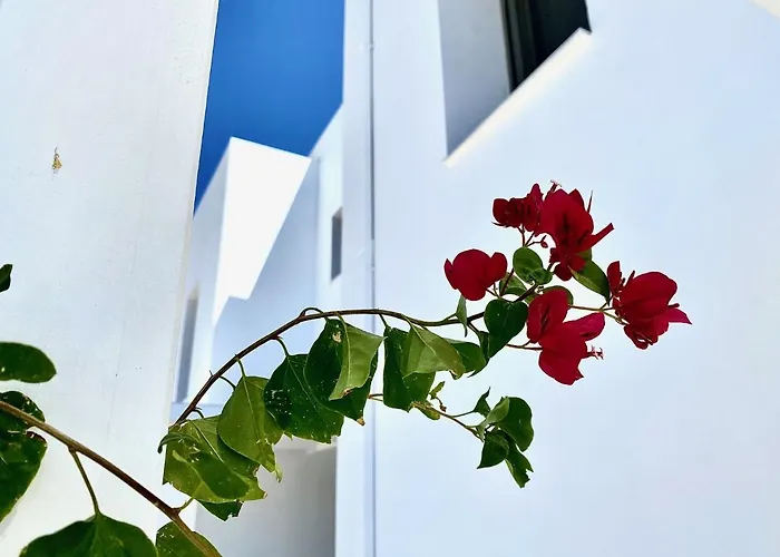 Harmony - 200 M From The Sea Tatil Evi Gennadi